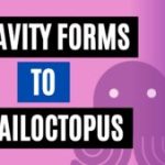 integrate gravity forms to emailoctopus